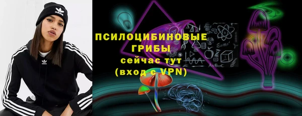 mix Горнозаводск