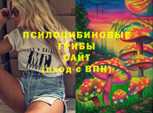 mix Горнозаводск