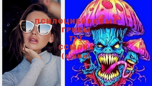 герыч Горняк