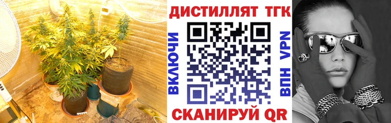 ТГК вейп с тгк  Воронеж 